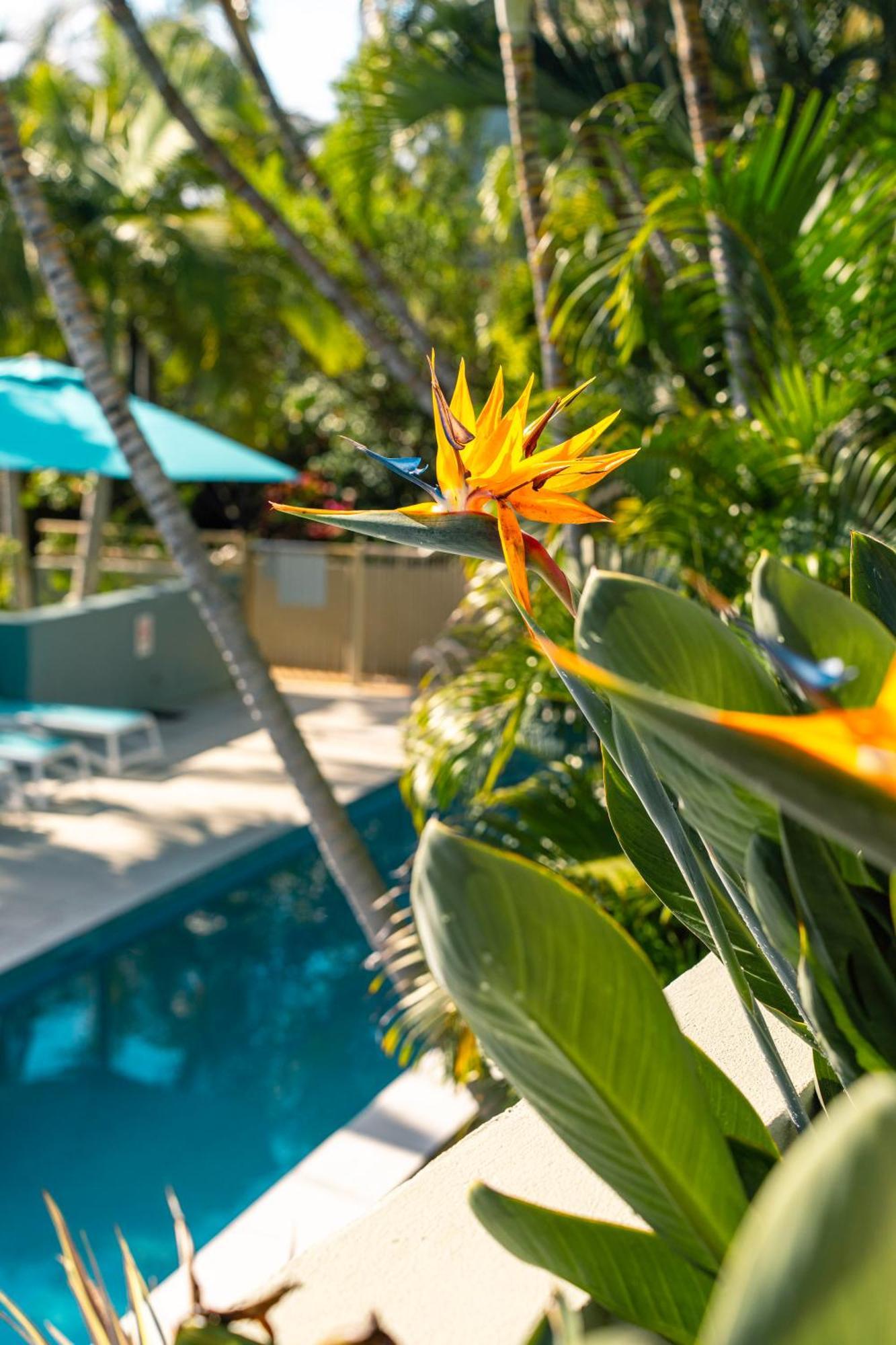 Lennox Beach Resort Lennox Head Εξωτερικό φωτογραφία